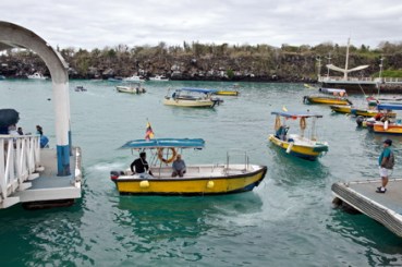 santa cruz galapagos islands